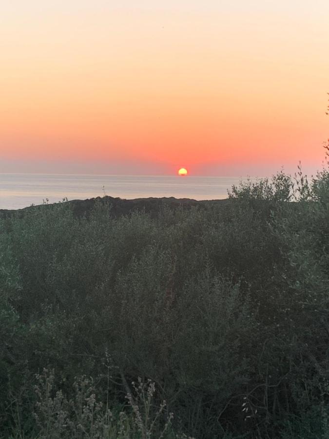 Hostal Stazzu Nuraghe Mannucciu Rena Majore Exterior foto