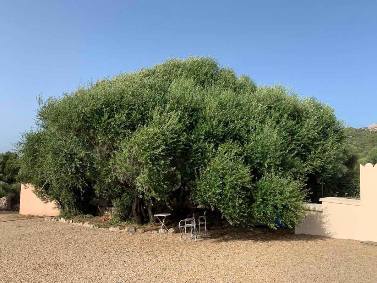 Hostal Stazzu Nuraghe Mannucciu Rena Majore Exterior foto