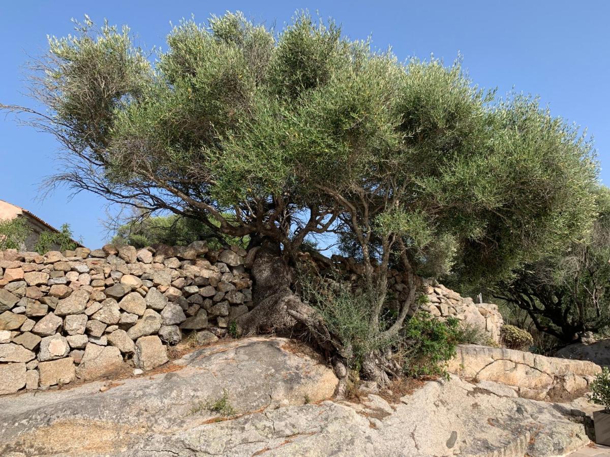 Hostal Stazzu Nuraghe Mannucciu Rena Majore Exterior foto